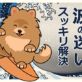 【完全解説】FXの波が見えるようになる！正しく捉えて機械的に描く方法を全公開