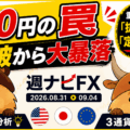 【ドル円大暴落】160円ブル・トラップ｜重要節目では「抜けた」より「定着」を見よ｜週ナビFX597